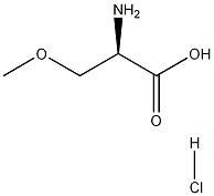 (R)-2-氨基-3-甲氧基丙酸鹽酸鹽